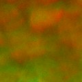 Bokeh-534